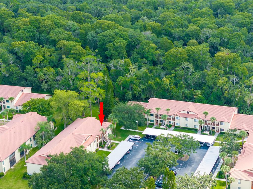 1801 E LAKE ROAD UNIT 11D, PALM HARBOR, FL — photo 5 of 28
