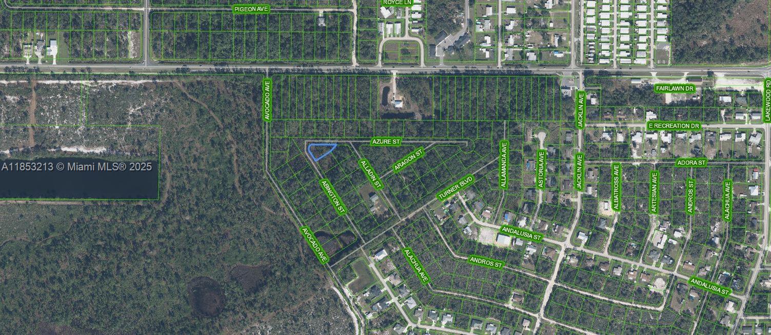 This is an aerial map showing residential street layouts and undeveloped land — 2124 Abington, Sebring FL 33875, SEBRING, FL
