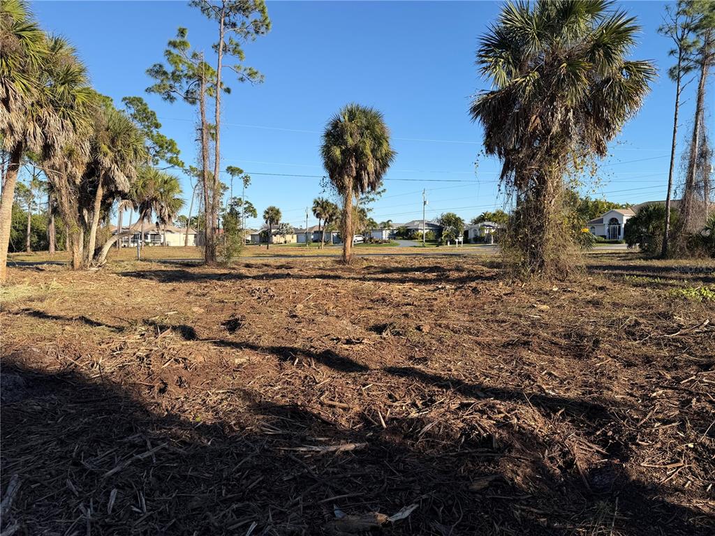 A cleared, vacant lot features several palm trees under a clear blue sky — 2 PINE VALLEY PL, ROTONDA WEST, FL