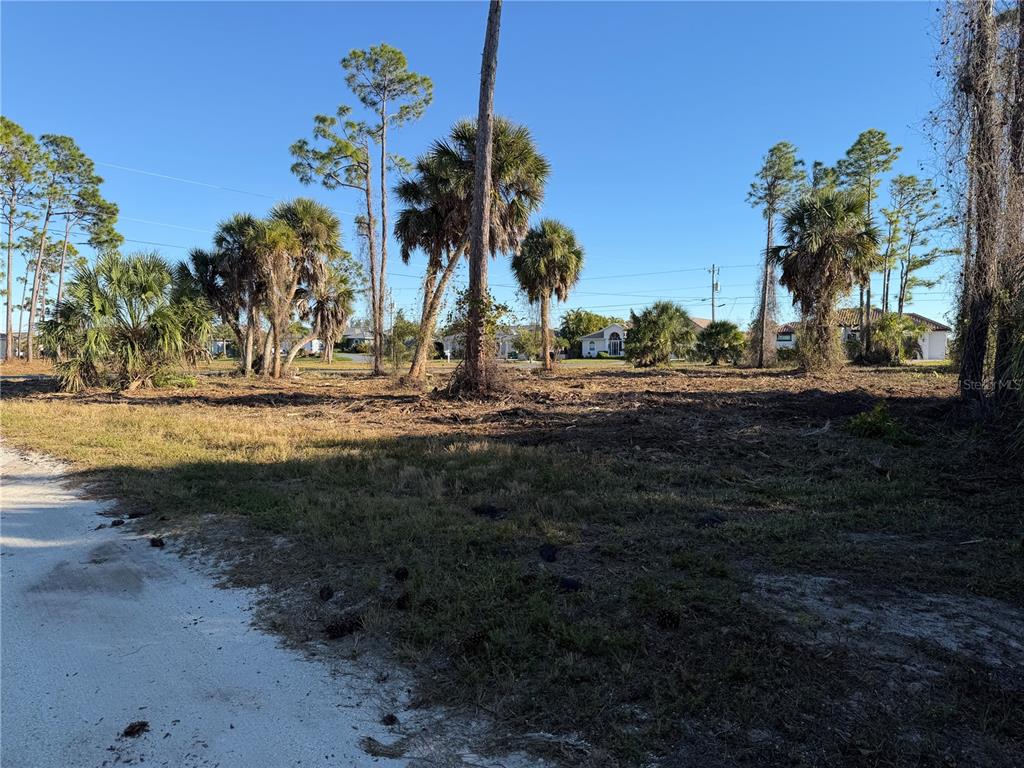 A vacant, partially cleared lot features scattered palm trees and pine trees under a clear sky — 2 PINE VALLEY PL, ROTONDA WEST, FL