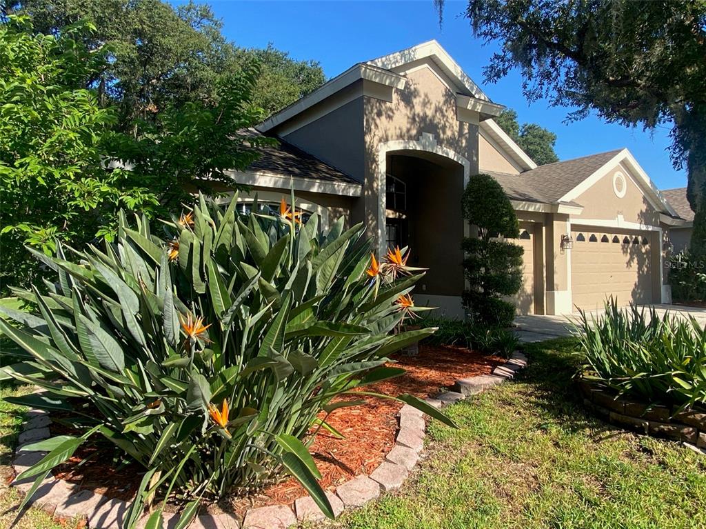 A single-story house with a tan stucco exterior, a two-car garage, and a landscaped yard — 10542 SAN TRAVASO DRIVE, TAMPA, FL