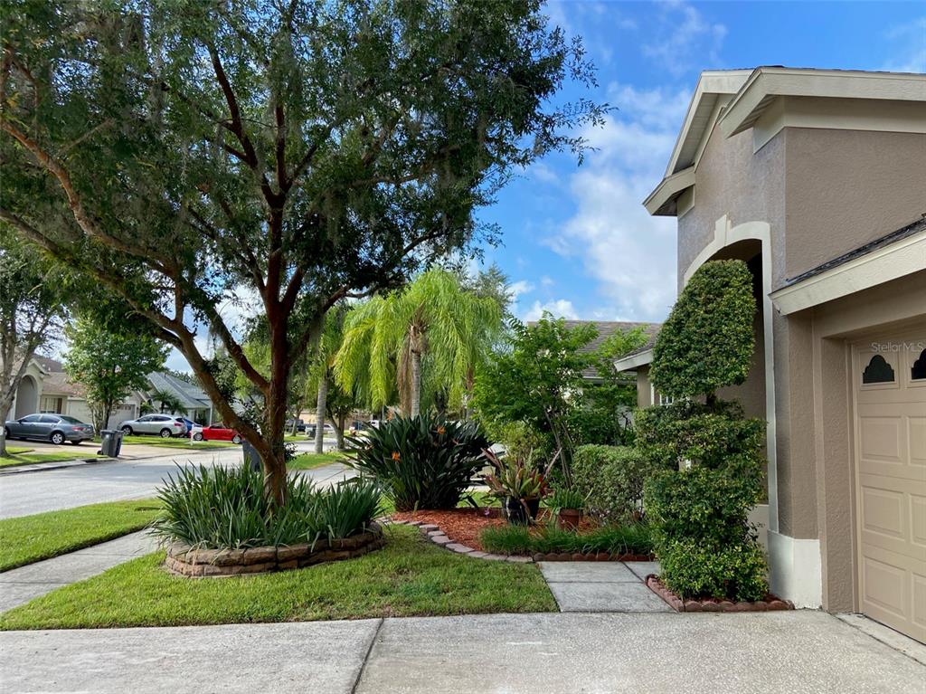 A view of a suburban house exterior featuring a tree, landscaping, and a garage — 10542 SAN TRAVASO DRIVE, TAMPA, FL