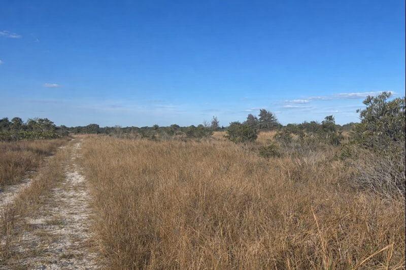 0 NW 290th Street, Okeechobee FL 34972