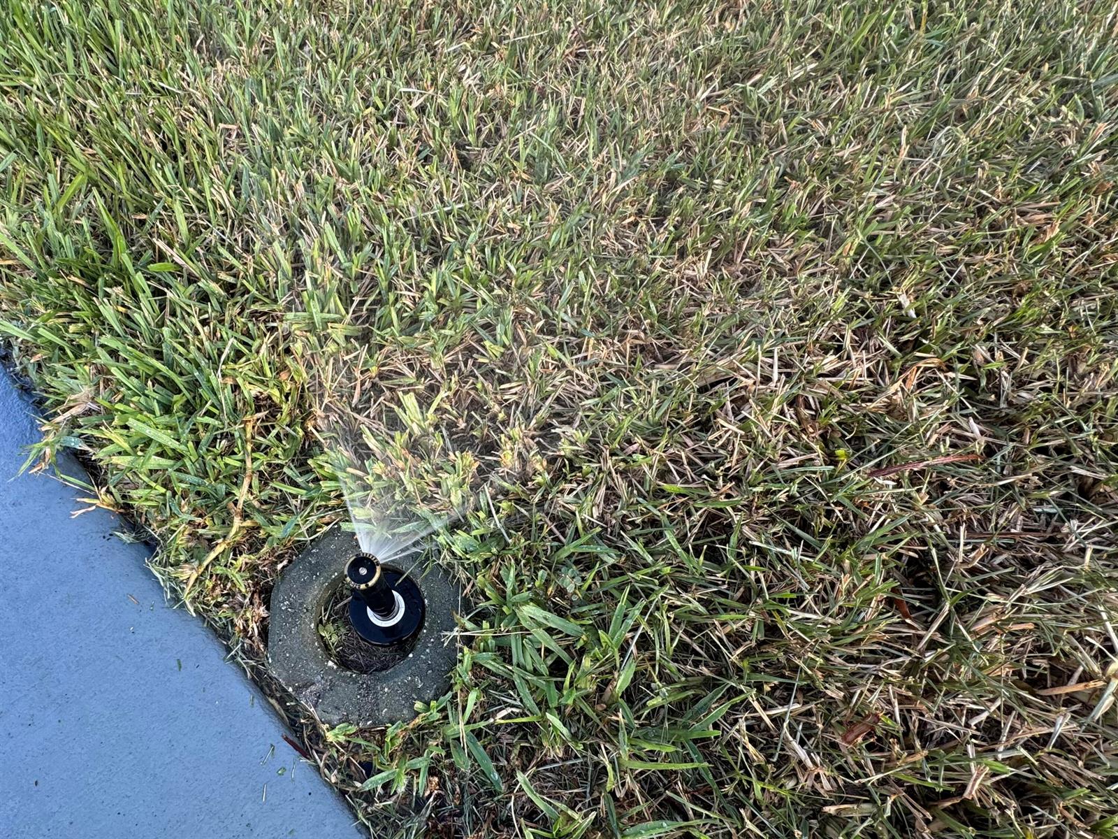 A lawn sprinkler head is spraying water onto a patch of grass next to a sidewalk — 133 NW 53 Place, Deerfield Beach FL 33064, DEERFIELD BEACH, FL