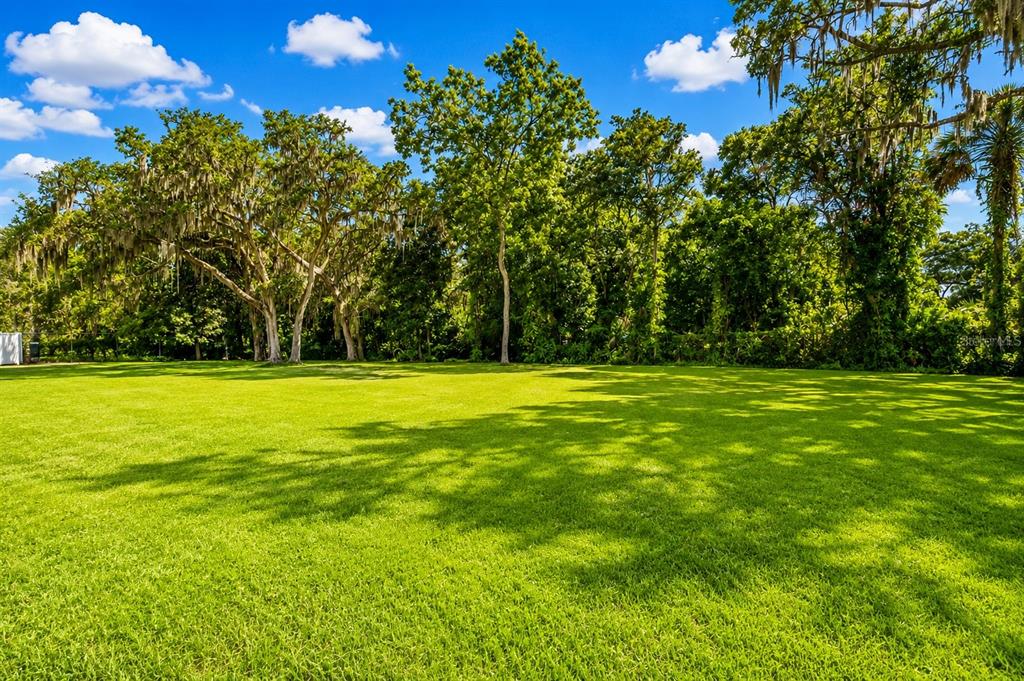RIVERVIEW DRIVE, RIVERVIEW, FL — photo 5 of 13