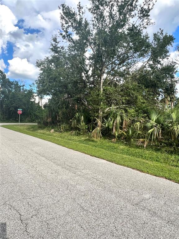 A paved road leads toward a wooded lot with dense trees and palm plants — 18235 VARDON AVENUE, PORT CHARLOTTE, FL