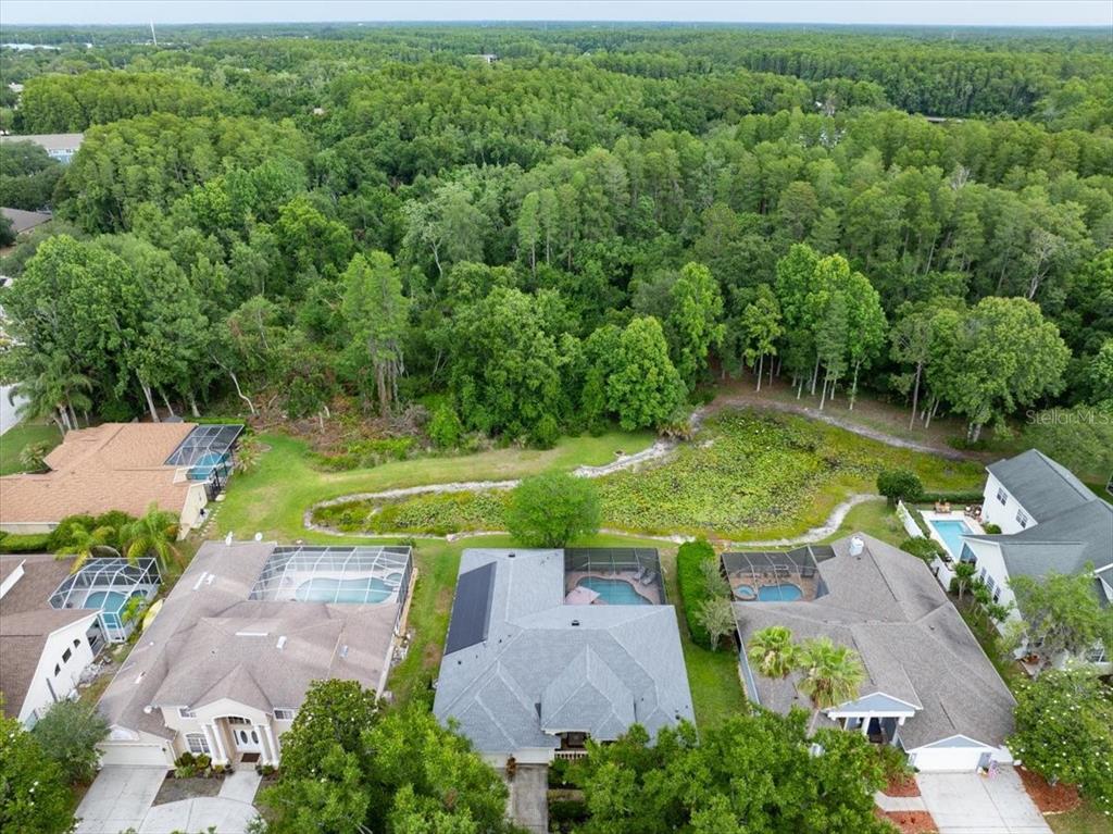 An aerial view shows three suburban houses with swimming pools bordering a wooded wetland area — 4941 FELECITY WAY, PALM HARBOR, FL