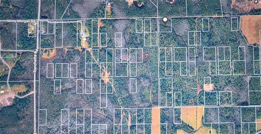 An aerial map view shows multiple rectangular property plots outlined in white over a wooded area — MISTY MORGAN LANE, NEW SMYRNA BEACH, FL