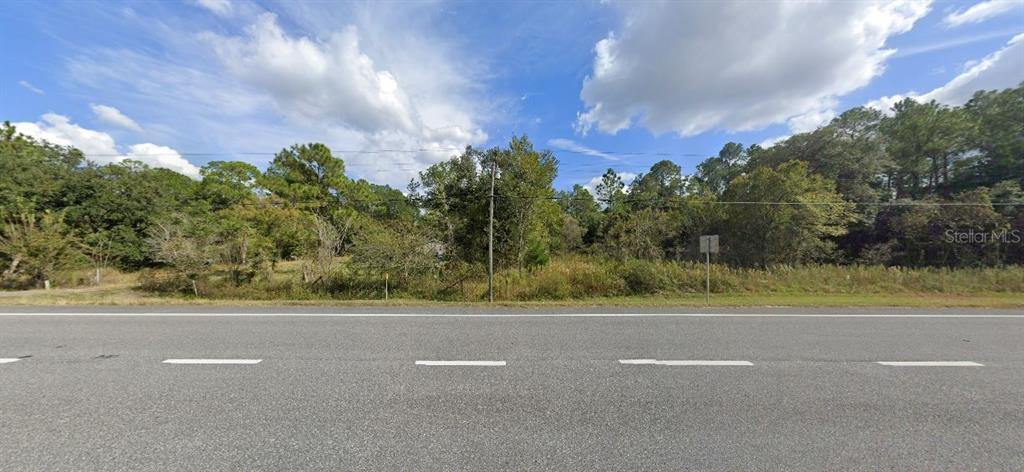 A paved road runs in front of a vacant, tree-lined lot under a blue sky — 7338 TREIMAN BOULEVARD, WEBSTER, FL