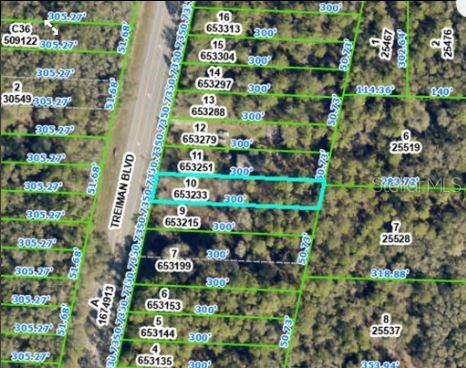 This is a satellite map showing a highlighted rectangular land parcel along a road — 7338 TREIMAN BOULEVARD, WEBSTER, FL