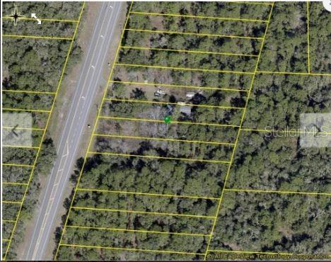 An aerial map view shows a rectangular property lot outlined in yellow along a road — 7338 TREIMAN BOULEVARD, WEBSTER, FL