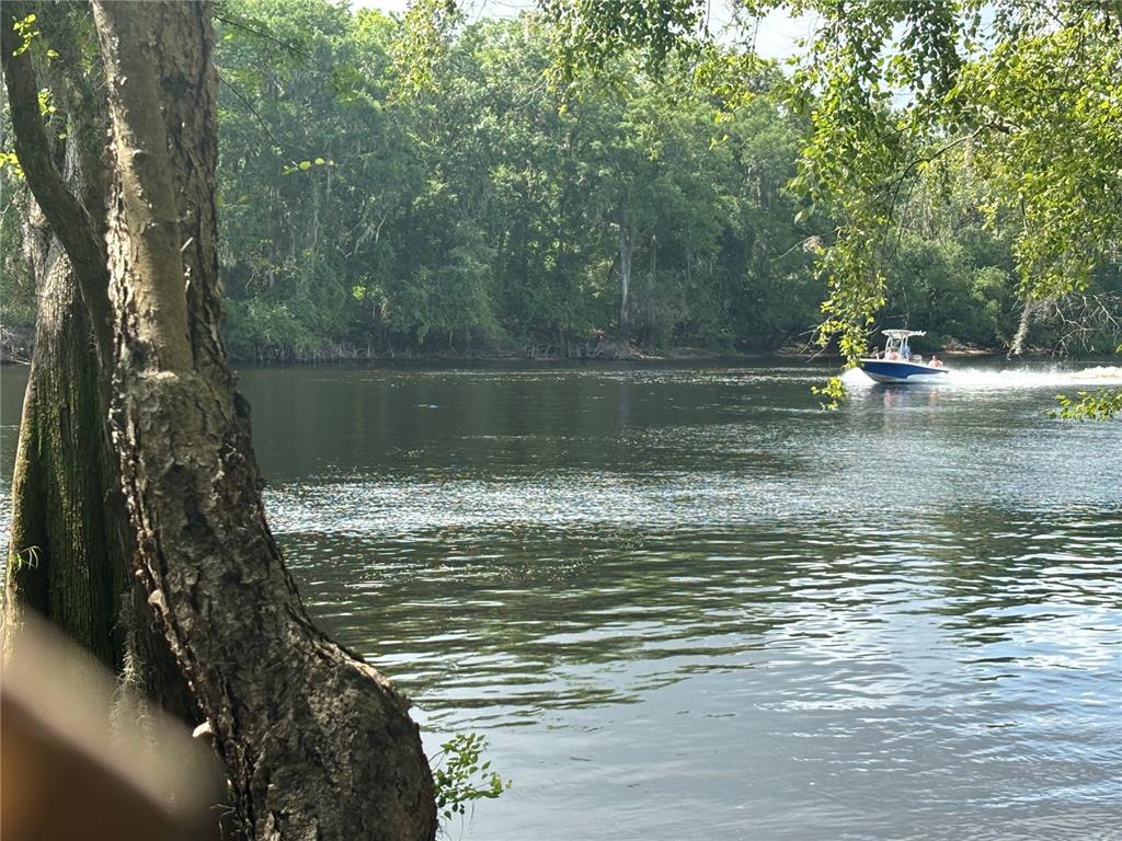 A motorboat travels along a river bordered by dense trees and a wooded shoreline — 1305 NE 930TH STREET, OLD TOWN, FL