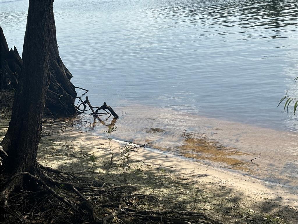 A sandy shoreline meets the water next to a large tree with exposed roots — 1305 NE 930TH STREET, OLD TOWN, FL