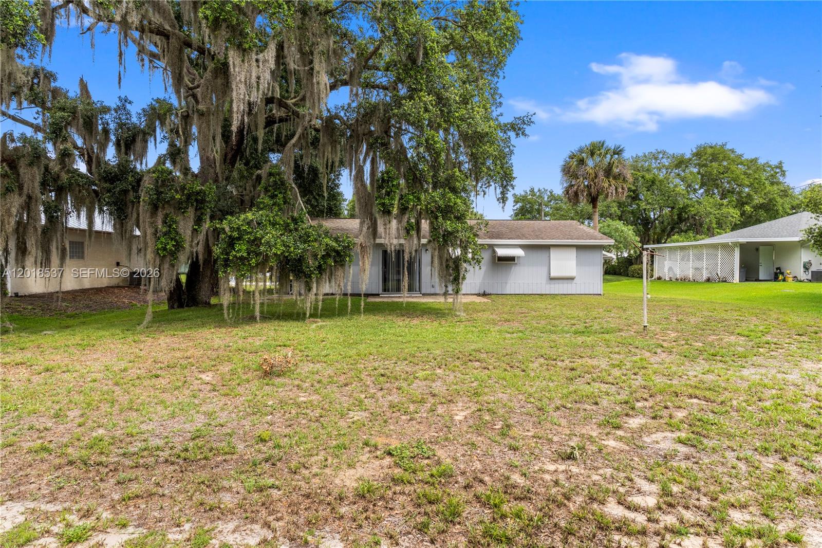 A gray house with a large oak tree stands in a grassy backyard — 326 Belfast, Sebastian FL 32958, SEBASTIAN, FL