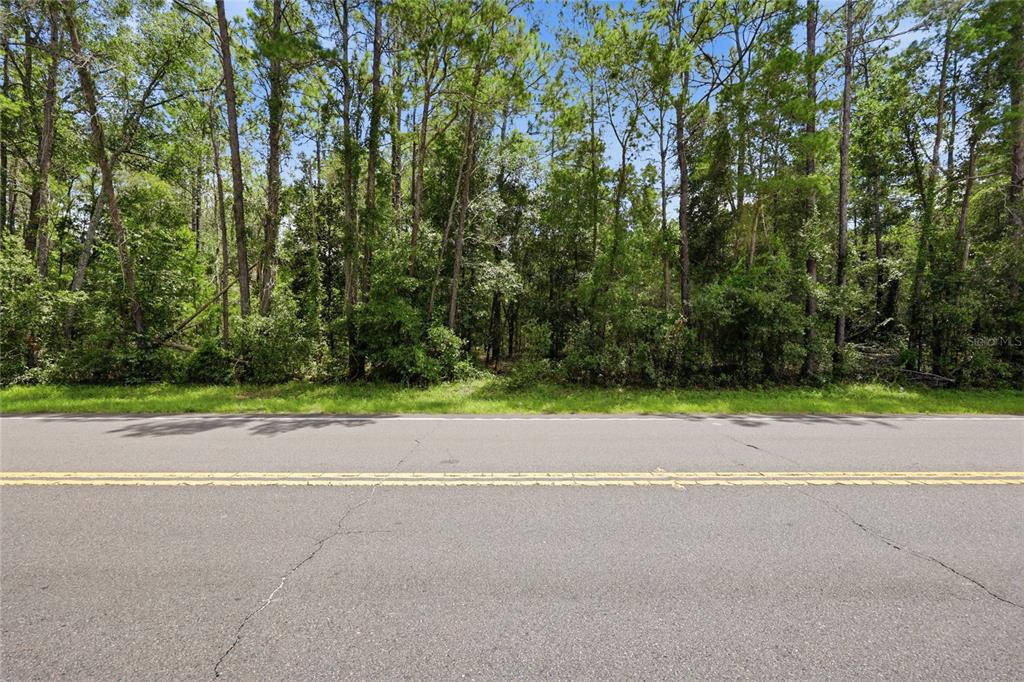 A paved road runs in front of a dense, wooded area with tall trees — TBD STATE ROAD 26, MELROSE, FL