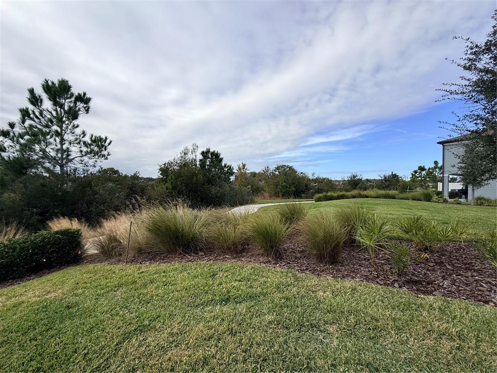 A view of a grassy yard with ornamental grasses, trees, and a paved path — 5443 ELMVIEW CROSSING, WESLEY CHAPEL, FL
