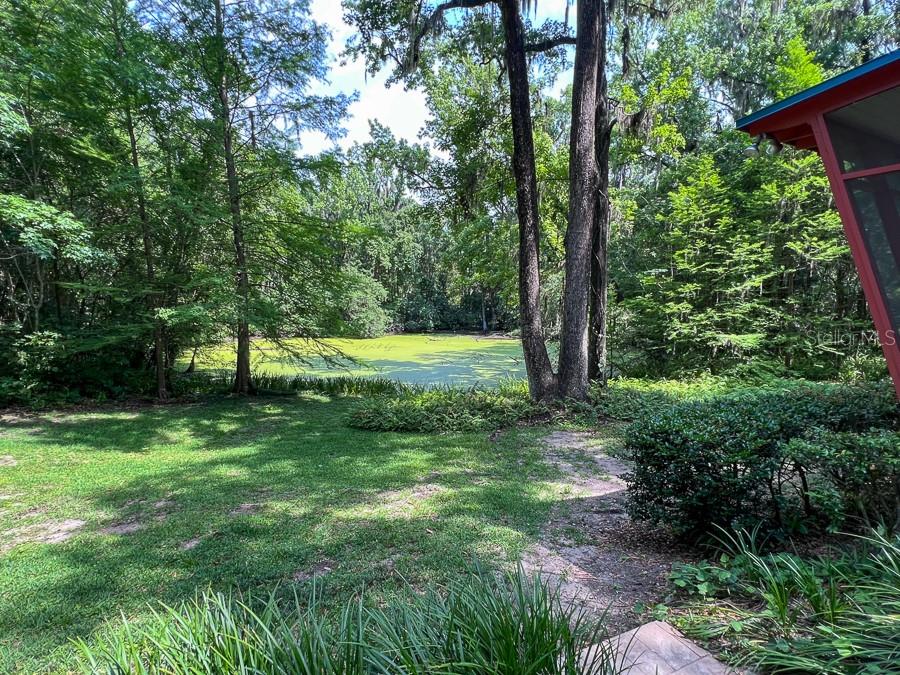 A grassy backyard leads to a pond surrounded by dense trees and vegetation — 411 NW 26TH STREET, GAINESVILLE, FL
