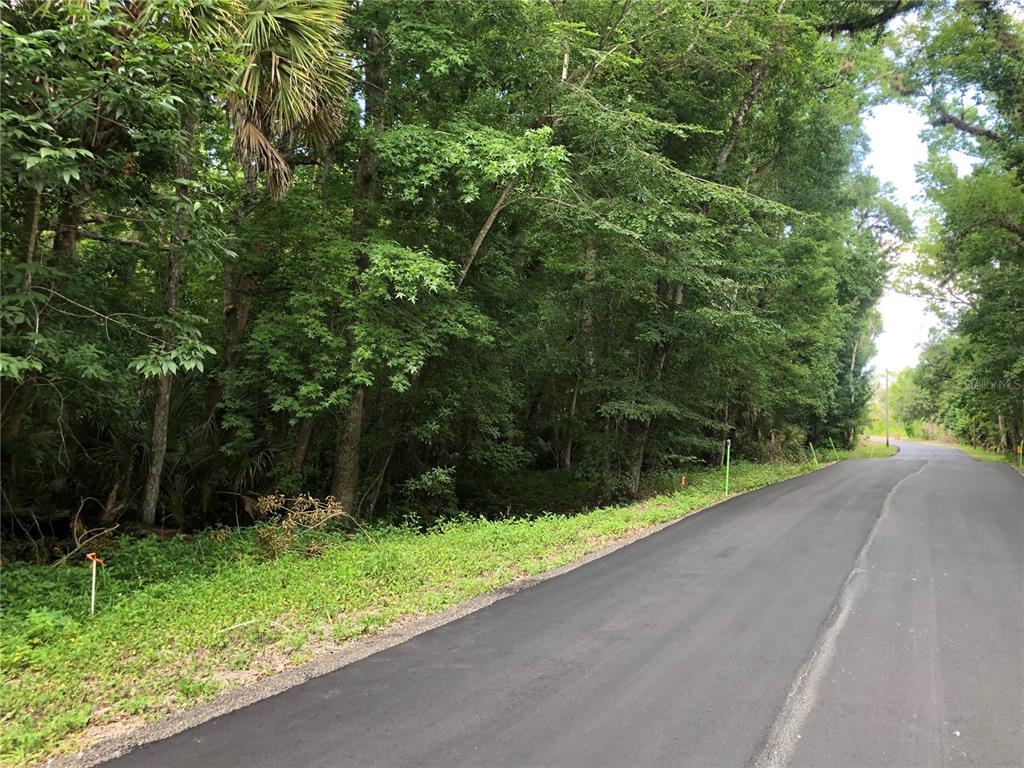 KEEFER TRAIL, KISSIMMEE, FL — photo 2 of 15