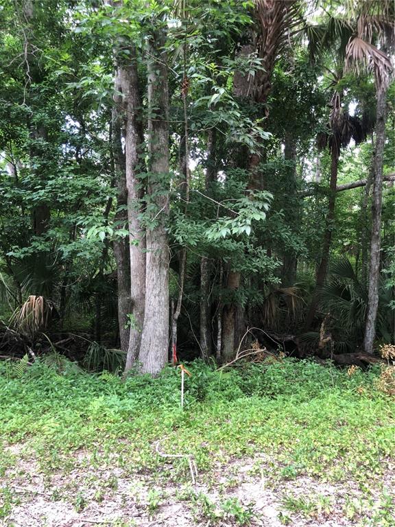 KEEFER TRAIL, KISSIMMEE, FL — photo 3 of 15