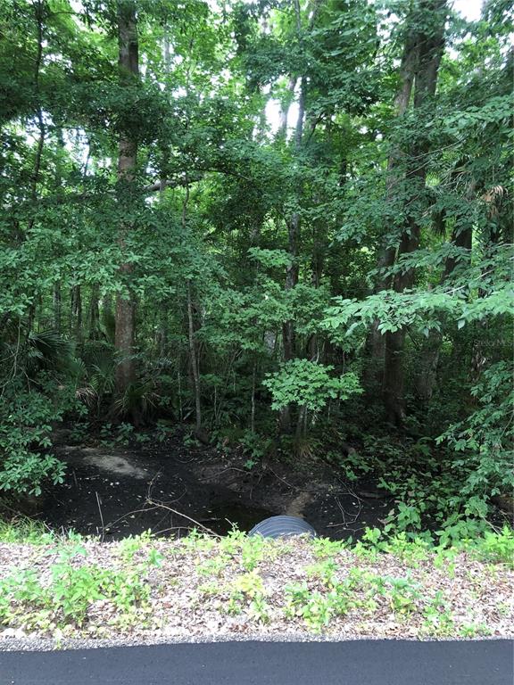 KEEFER TRAIL, KISSIMMEE, FL — photo 4 of 15