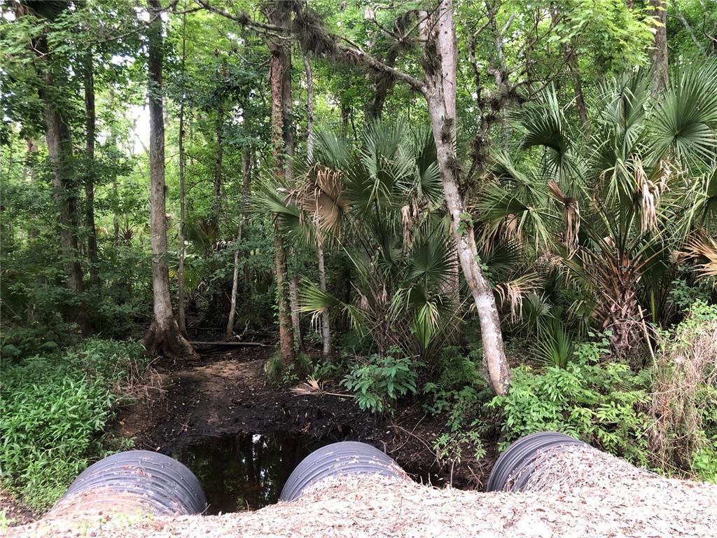 KEEFER TRAIL, KISSIMMEE, FL — photo 5 of 15