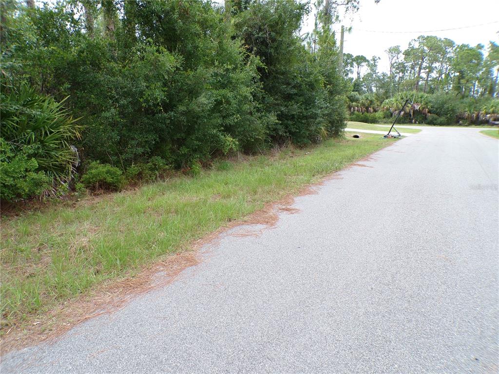 A paved road runs alongside a grassy shoulder bordered by dense trees and bushes — LUMMUS STREET, NORTH PORT, FL