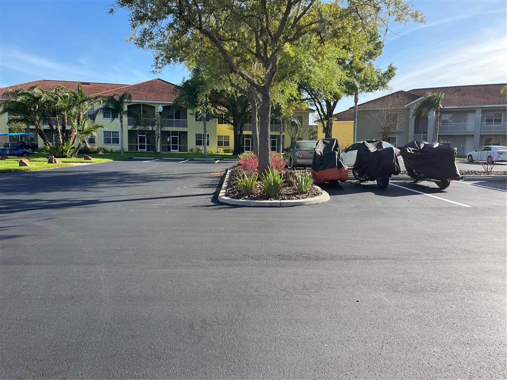 A parking lot with covered motorcycles sits in front of multi-story apartment buildings — 6816 DALI AVENUE UNIT 201, LAND O LAKES, FL