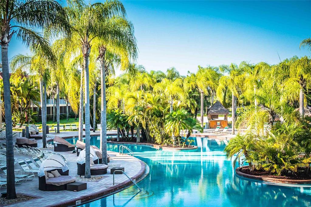 A resort-style swimming pool surrounded by palm trees, lounge chairs, and cabanas — 6816 DALI AVENUE UNIT 201, LAND O LAKES, FL