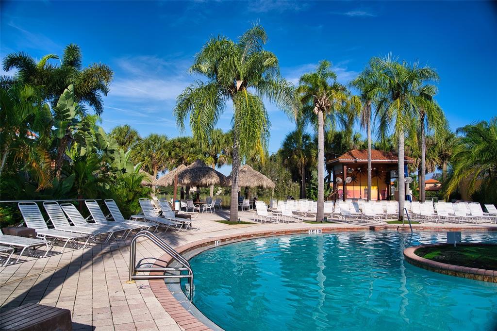 A swimming pool with lounge chairs, palm trees, and a covered pavilion under a blue sky — 6816 DALI AVENUE UNIT 201, LAND O LAKES, FL