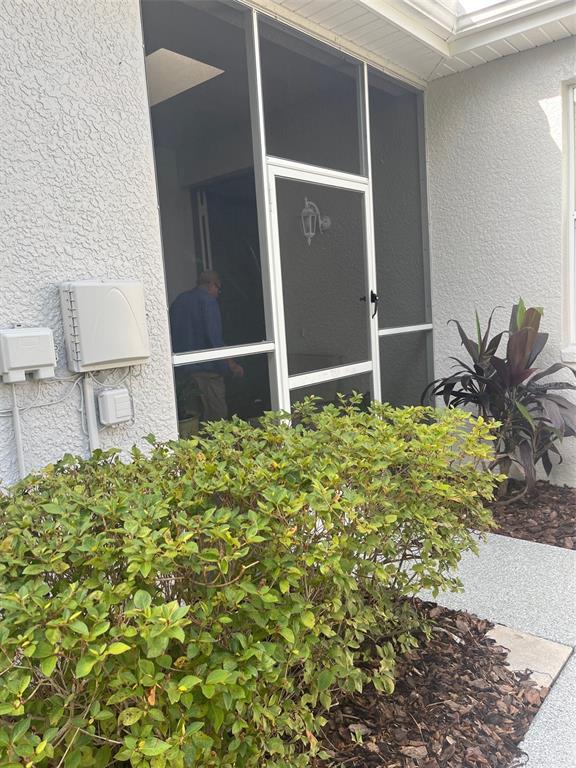 A person stands inside a screened-in entryway featuring a white door and exterior stucco walls — 7245 CLEOPATRA DRIVE, LAND O LAKES, FL