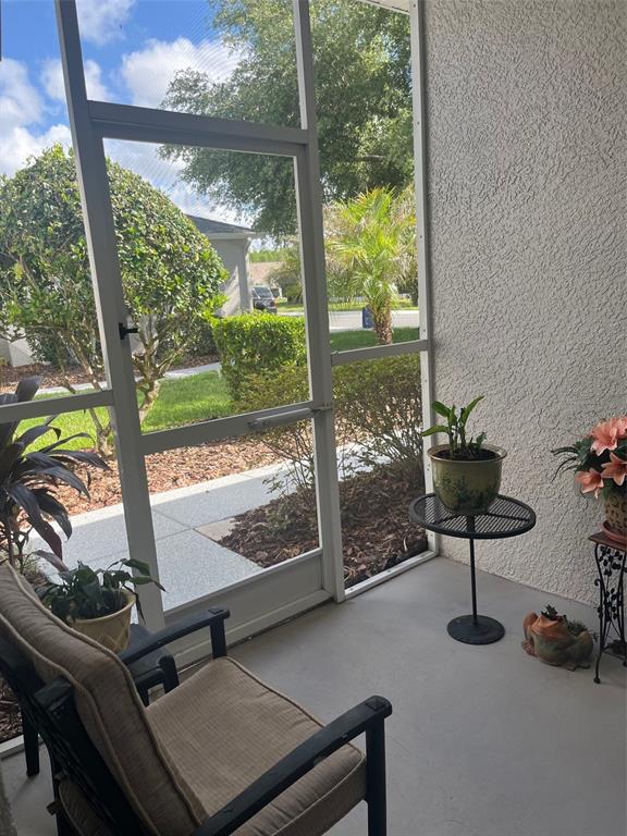 A screened-in porch features a chair, potted plants, and a view of a suburban yard — 7245 CLEOPATRA DRIVE, LAND O LAKES, FL