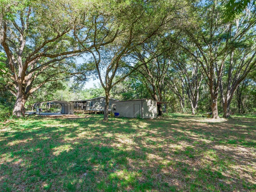 A covered wooden deck features a rustic outdoor kitchen area and a white entry door — 3861 CR 519, COLEMAN, FL