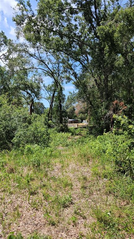 A view of a wooded, grassy lot with a small structure visible in the distance — 7624 ANNO STREET, TAMPA, FL