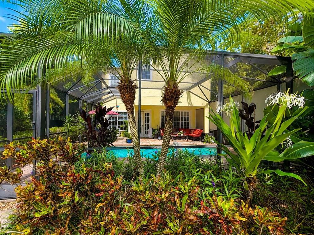 A swimming pool sits on a patio enclosed by a screen cage with palm trees — 5916 6TH STREET, TAMPA, FL