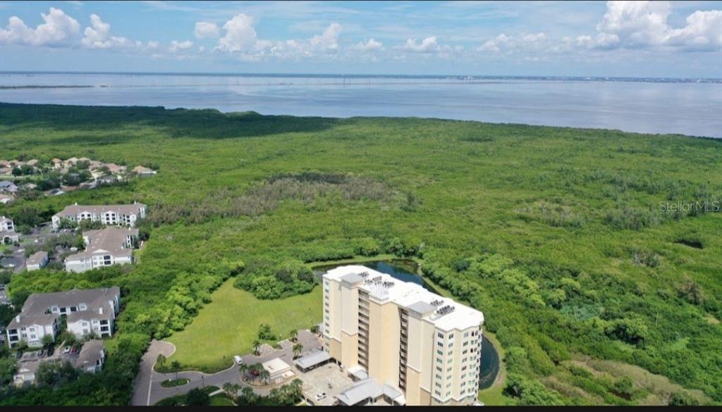 An aerial view shows a tall apartment building surrounded by dense forest near a large bay — 0 MANGROVE CAY LANE NE, ST PETERSBURG, FL