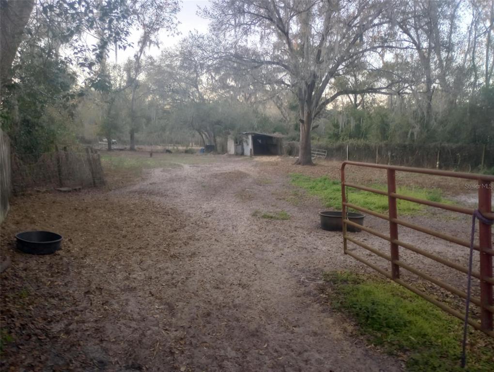 A dirt path leads toward a small shed in a fenced, tree-lined pasture — 14016 N. HWY 301, THONOTOSASSA, FL
