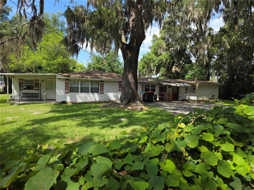 A single-story white house with a large tree in the front yard — 6141 SE BABB ROAD, BELLEVIEW, FL