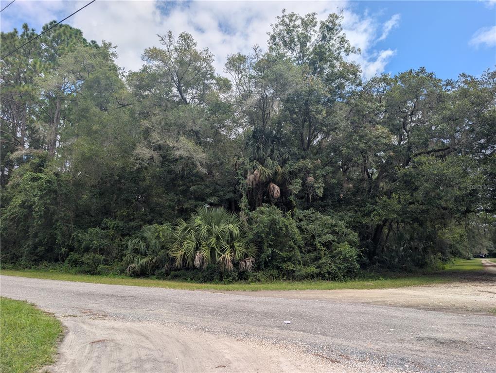 A gravel road intersection borders a dense, wooded lot with various trees and palm plants — 2259 W WILDFLOWER COURT, DUNNELLON, FL