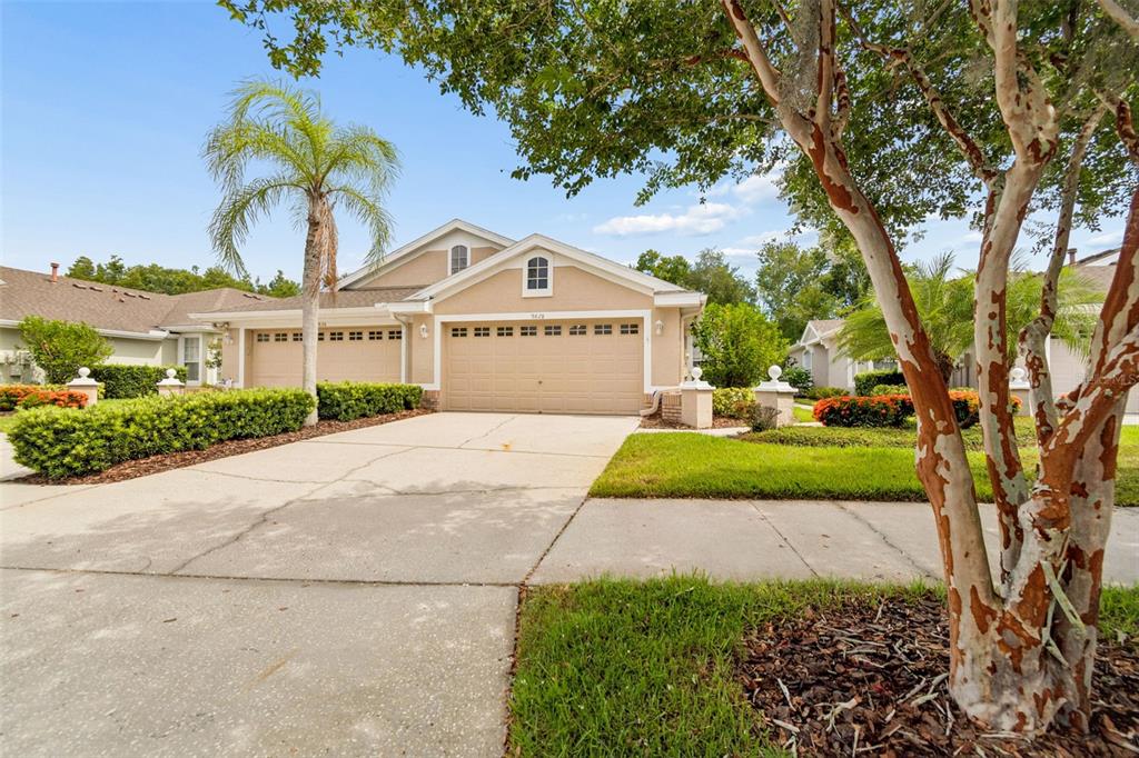 A tan single-story house with a two-car garage, a palm tree, and a paved driveway — 9828 BRIDGETON DRIVE, TAMPA, FL