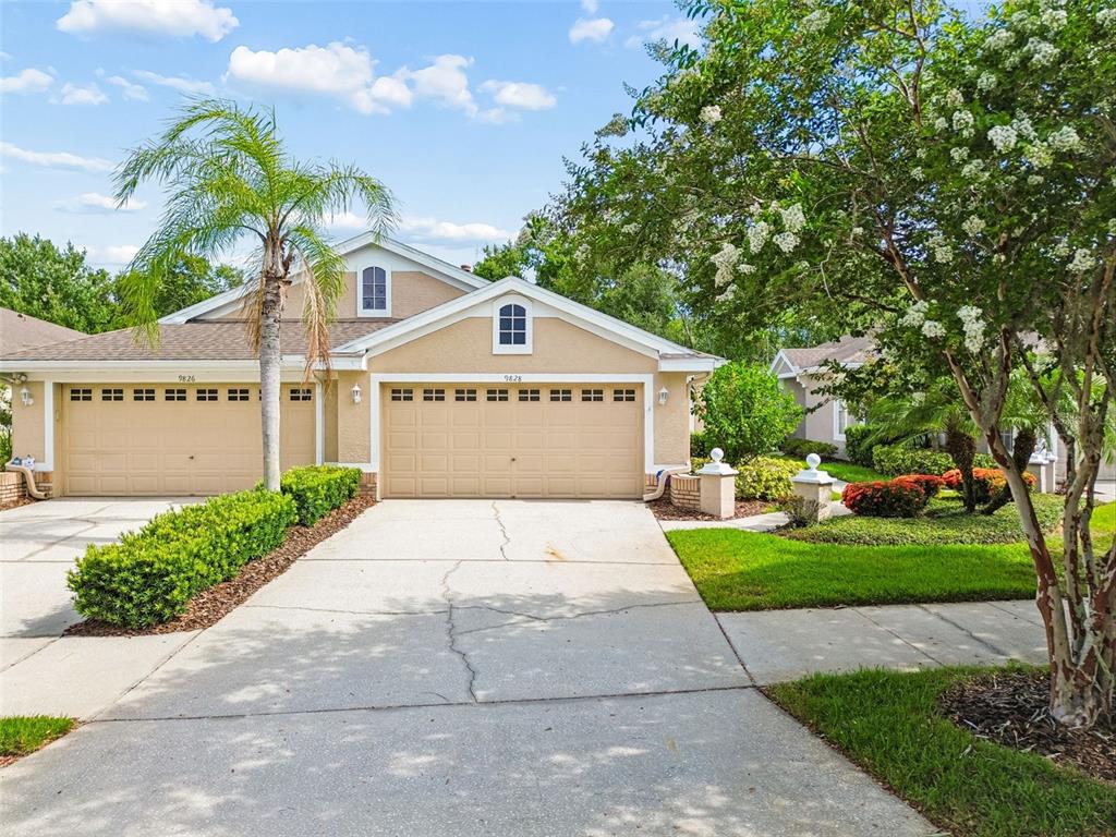 A tan duplex house features two garage doors, a concrete driveway, and a palm tree — 9828 BRIDGETON DRIVE, TAMPA, FL