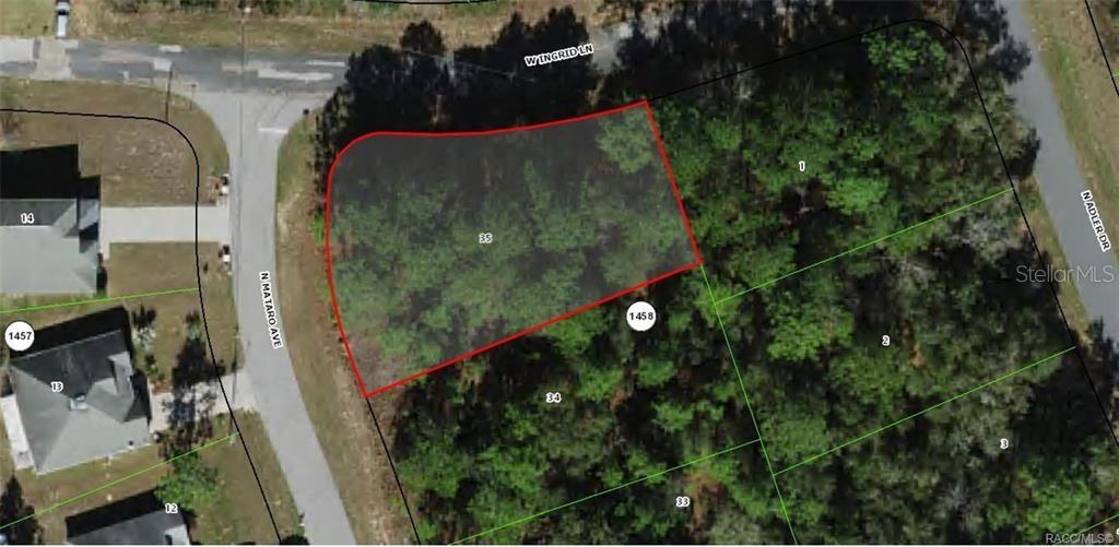 This is an aerial map showing a highlighted vacant residential lot at a street corner — 11107 N MATARO AVENUE, CITRUS SPRINGS, FL