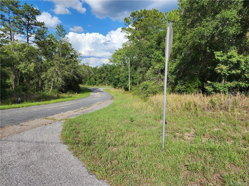 A paved road curves through a wooded area with a metal signpost in the foreground — 11107 N MATARO AVENUE, CITRUS SPRINGS, FL