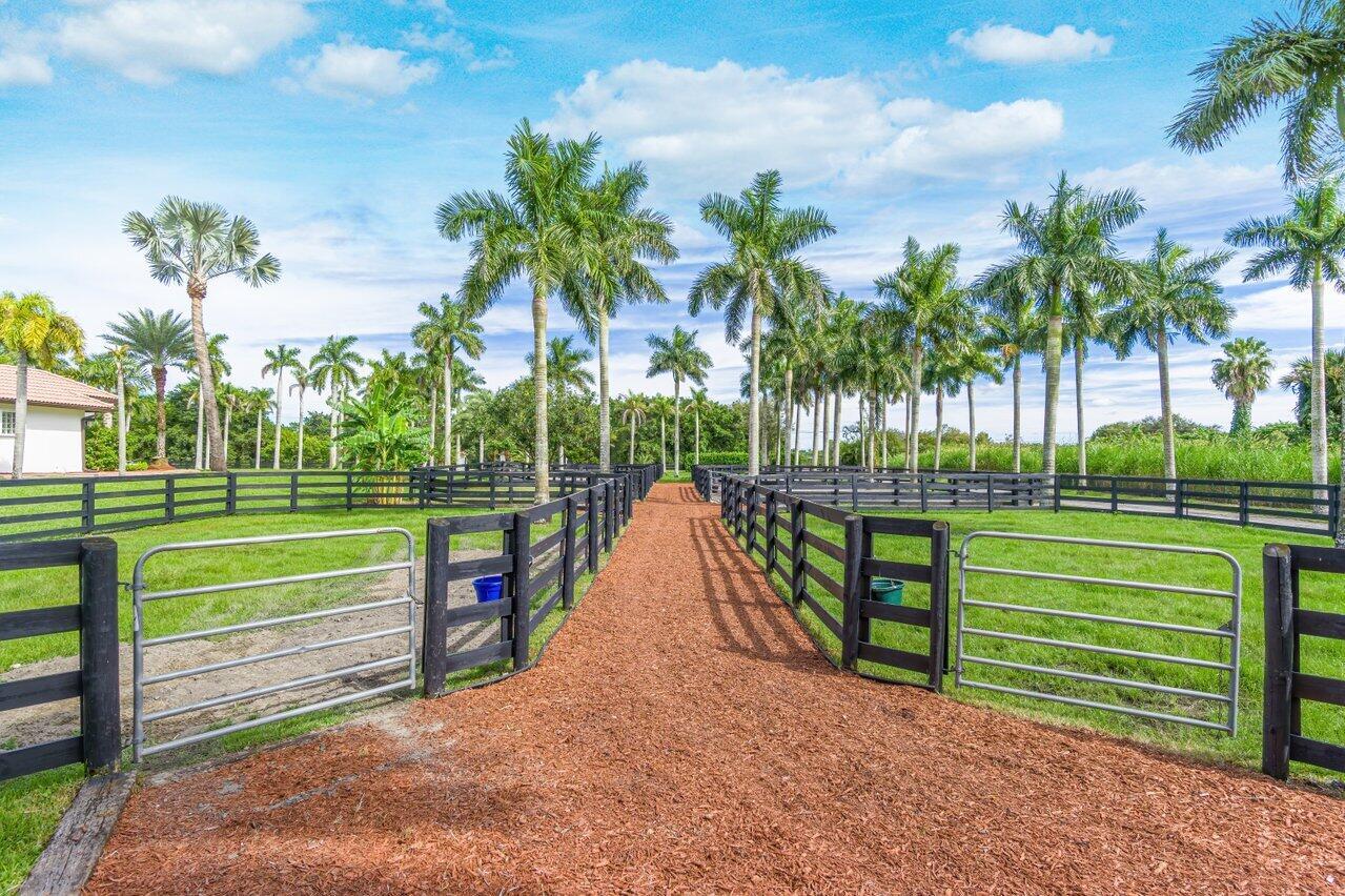 A dirt path leads between black fenced pastures lined with tall palm trees — 2587 Skipiks Way, Wellington FL 33470, WELLINGTON, FL