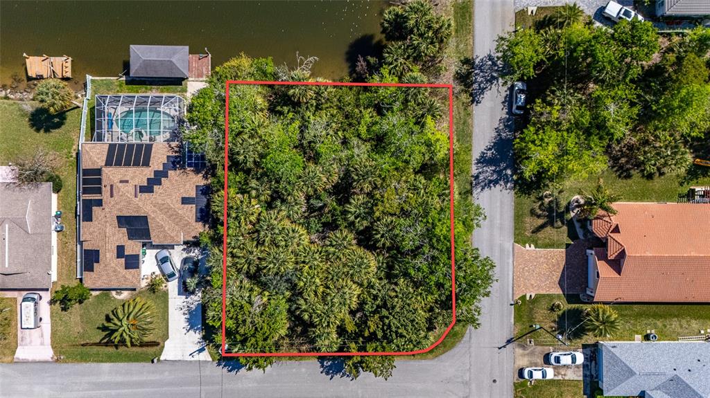 An aerial view shows a wooded, rectangular vacant lot outlined in red between two houses — 2 COCONUT COURT, PALM COAST, FL