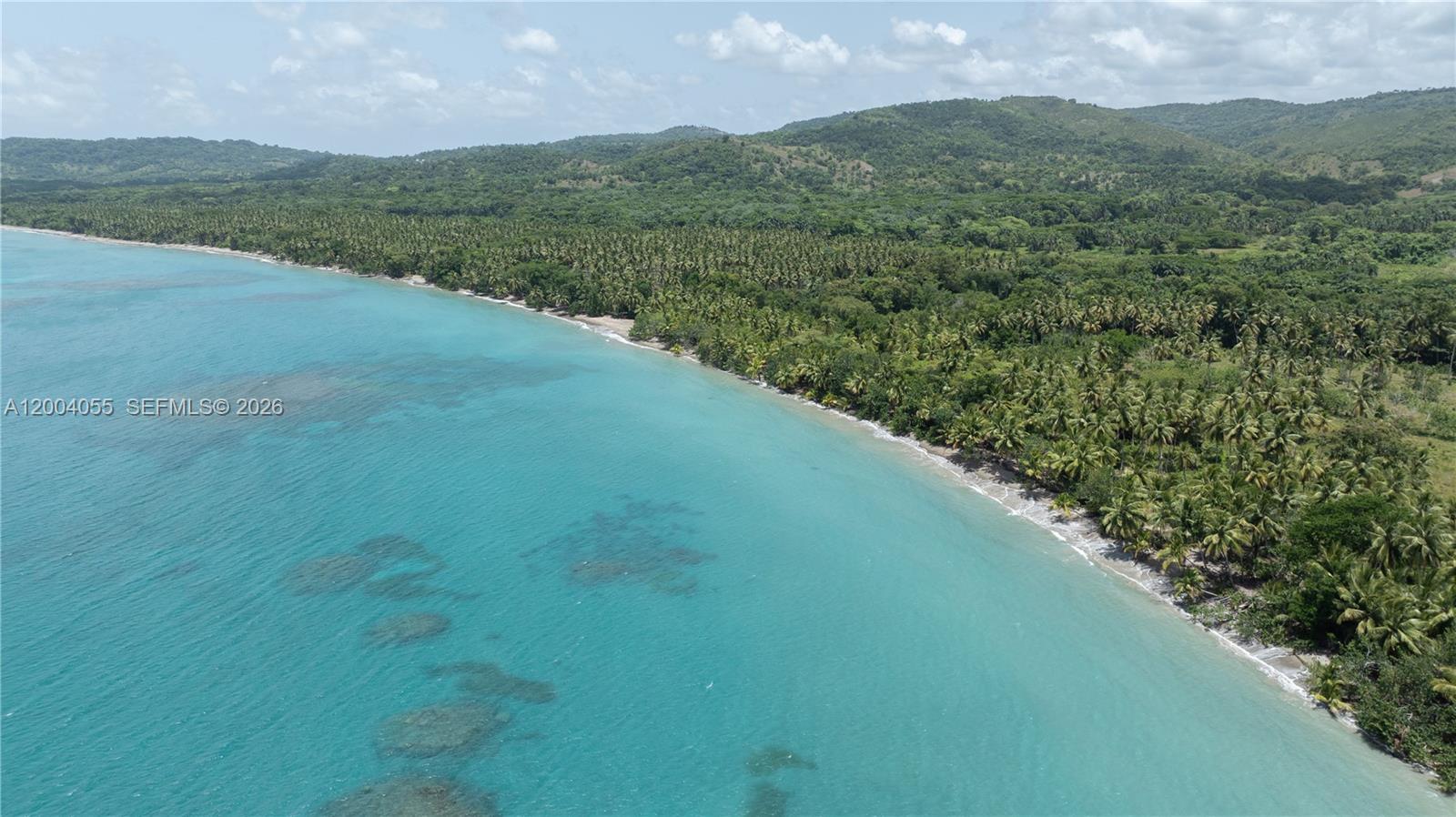 An aerial view shows a tropical coastline with a sandy beach and dense palm trees — PLAYA MAGANTE, FL, FL