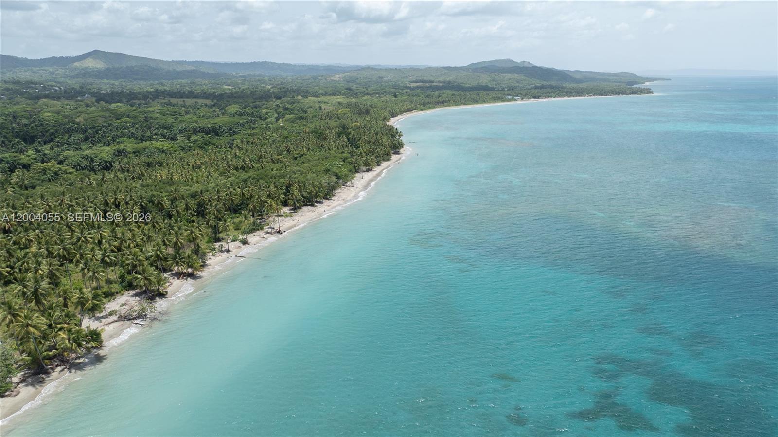 An aerial view shows a tropical beach lined with palm trees meeting the turquoise ocean — PLAYA MAGANTE, FL, FL