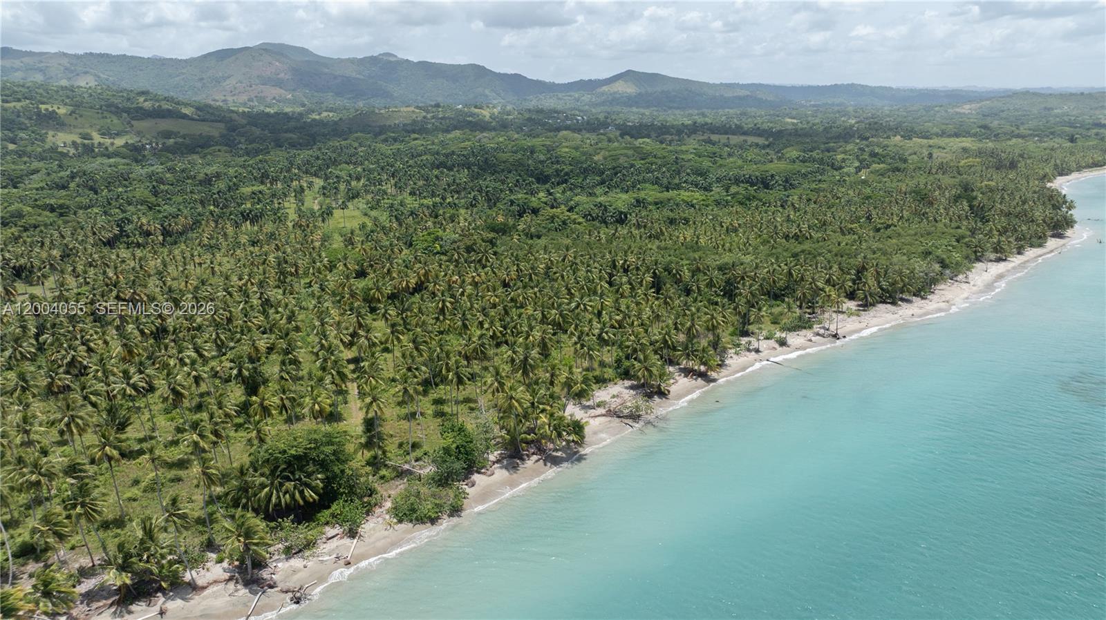 An aerial view shows a sandy beach lined with palm trees against a mountain backdrop — PLAYA MAGANTE, FL, FL