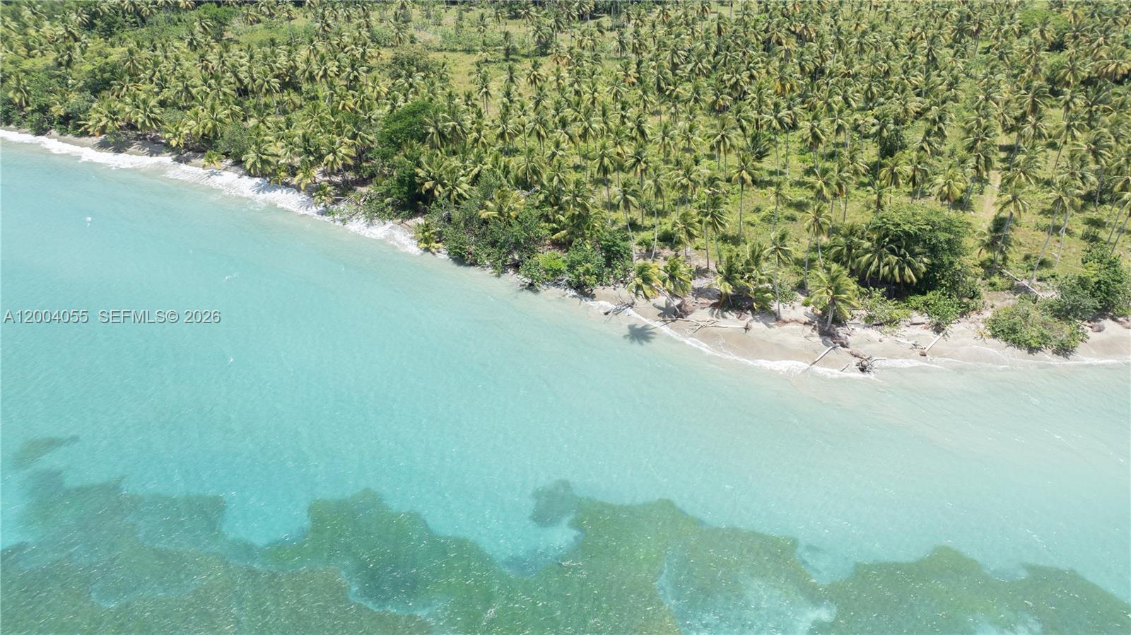 An aerial view shows a sandy beach lined with palm trees meeting turquoise ocean water — PLAYA MAGANTE, FL, FL