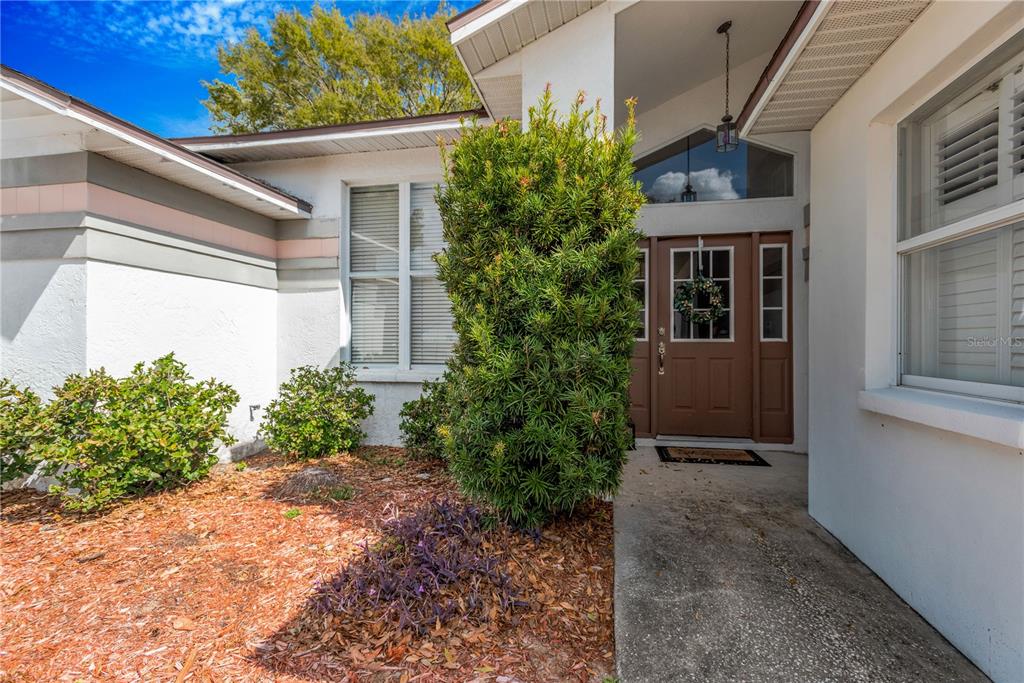 The front exterior of a house features a brown door, a tall shrub, and mulch — 2626 CRESTFIELD DRIVE, VALRICO, FL