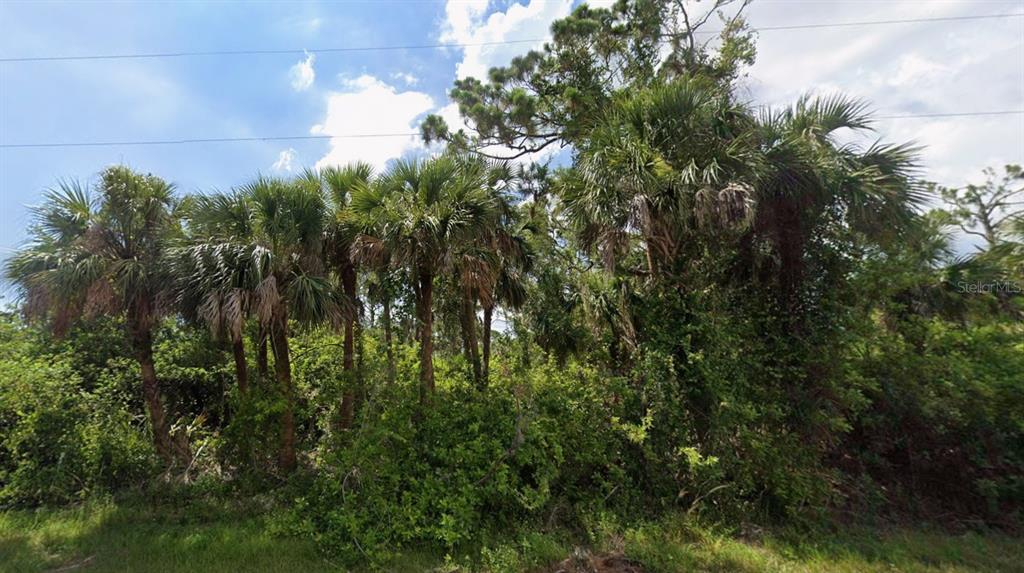 A cluster of palm trees and dense green vegetation stands under a partly cloudy sky — 449 CHESHIRE STREET, PORT CHARLOTTE, FL